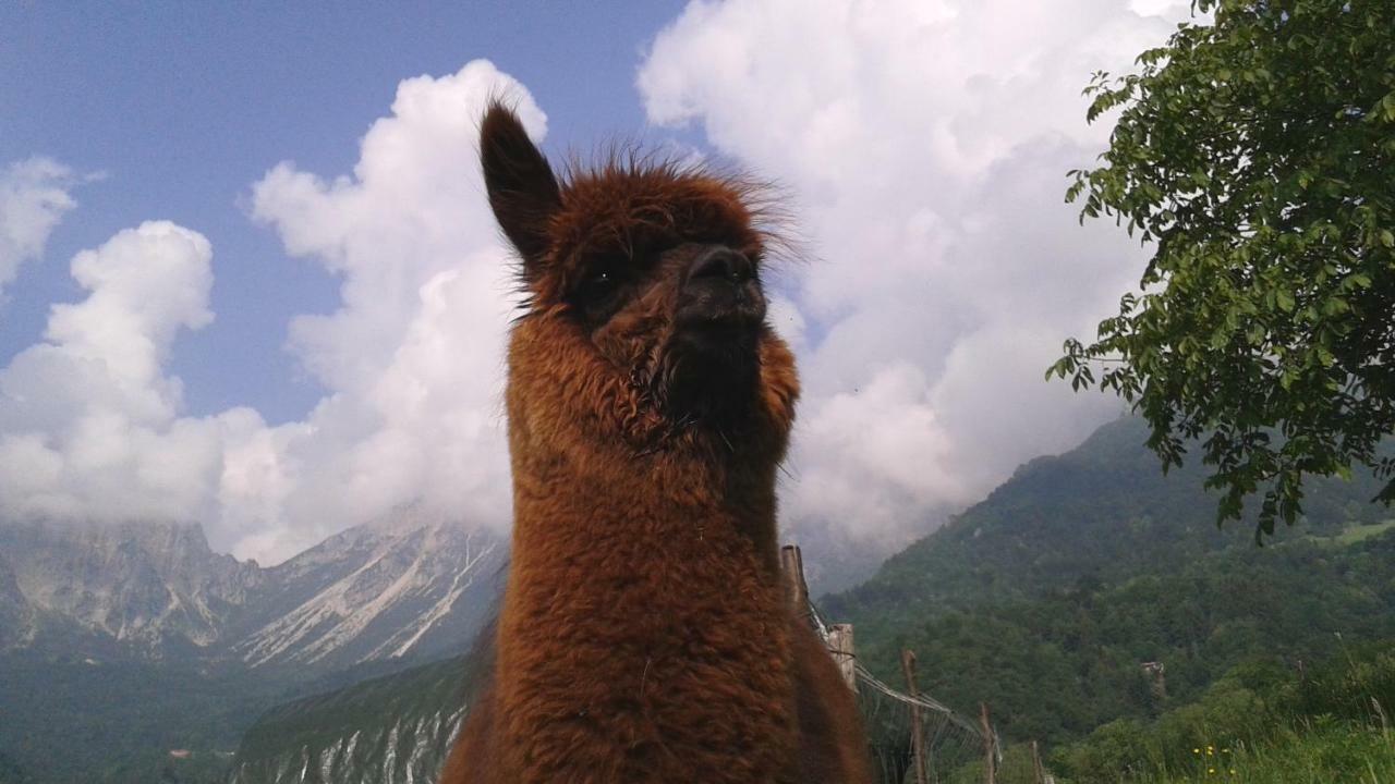 Casa Da 2 A 7 Posti Nelle Piccole Dolomiti Villa Recoaro Terme Dış mekan fotoğraf